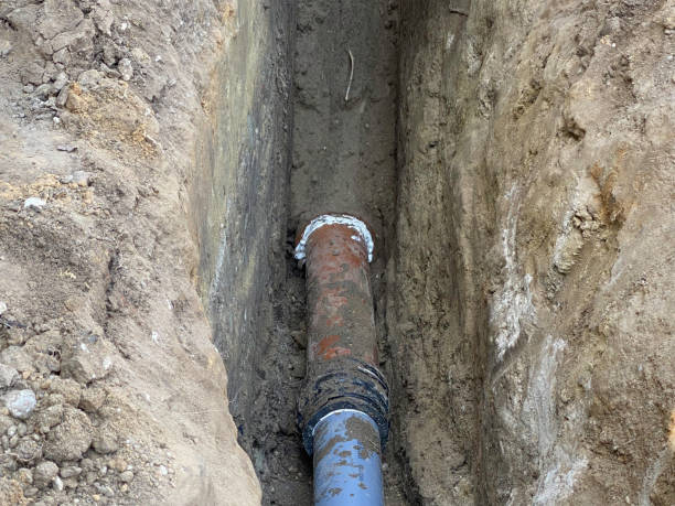 Best Flood restoration services  in Timberline Fernwood, AZ