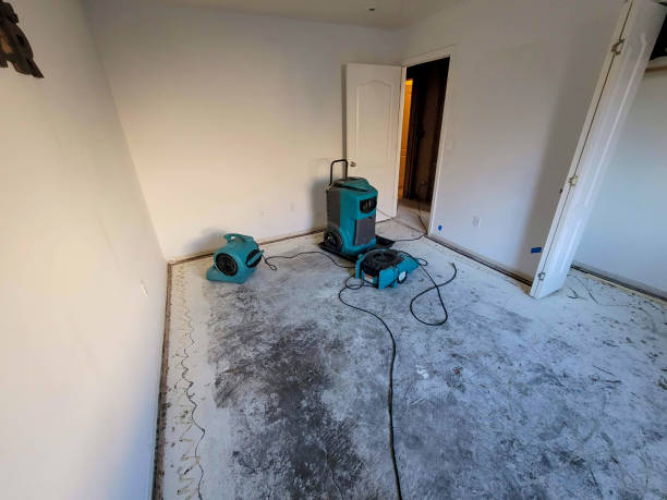 Best Flood damage cleanup  in Timberline Fernwood, AZ