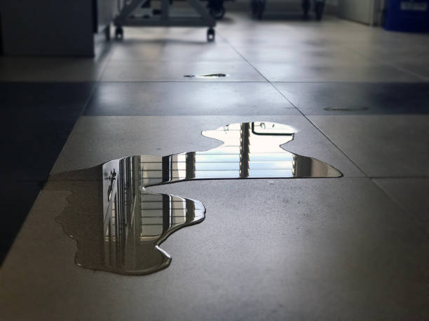 Best Water damage restoration experts  in Timberline Fernwood, AZ