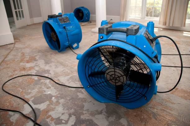 Carpet water damage restoration in AZ