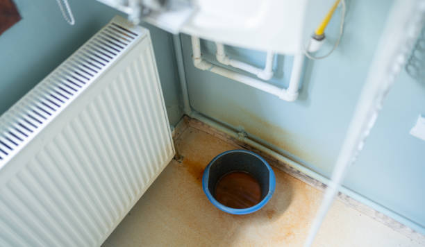 Best Local water damage restoration  in Timberline Fernwood, AZ