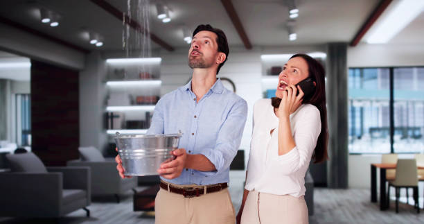 Best Water damage restoration near me  in Timberline Fernwood, AZ