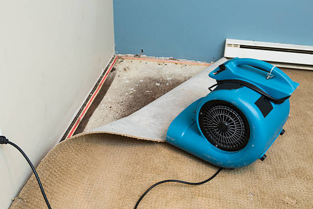 Best Local water damage restoration  in Timberline Fernwood, AZ